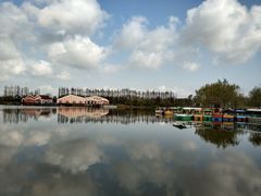 -上海长兴岛郊野公园