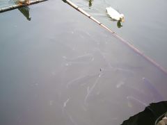 大堂-安吉涵田度假村·水榭居中餐厅