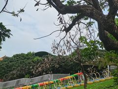 -观澜山水田园