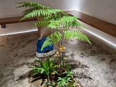 -光作面包Voila Lumiere(中山店)