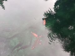 -百脉泉景区