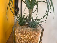 -AHAVA·Fang Baking Studio
