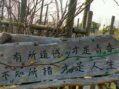 -田园东方蜜桃村的田野营地