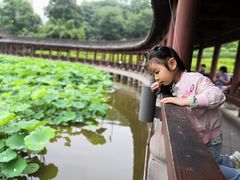 -龙头寺公园