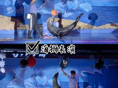 -顺德南宏海立方海洋公园
