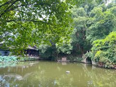 -绮园景区