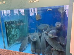 -淘米捞·米汤脆鲩鱼火锅(福田皇岗店)