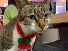 -ID.PHOTO照相馆(嘉里企业中心店)