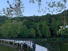 -厦门国家会计学院