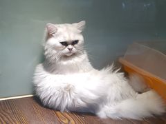 -乐宠宠物店(世纪金源店)