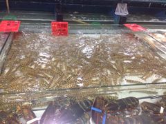 iphone_upload_pic-渔傅·蓝海岸霞浦海鲜(正祥店)