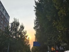 -长白岛森林公园