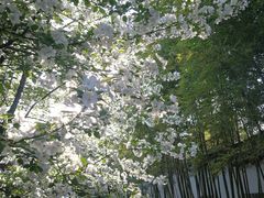 -荆川公园