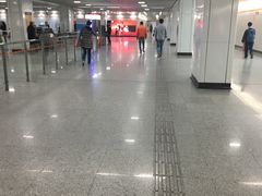 -杨高南路(地铁站)