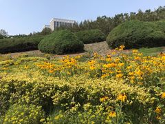 -滨河世纪广场公园