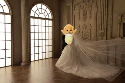 -金夫人婚纱摄影(华南店)