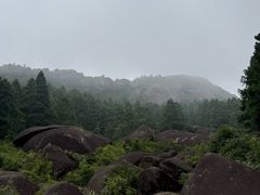 -玉苍山国家森林公园