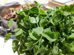 -浩爷羊蝎子火锅(望京店)