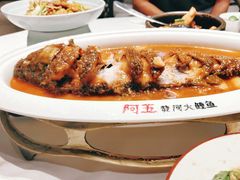 -阿五黄河大鲤鱼(海尚店)