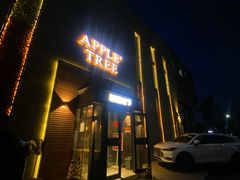 -苹果树下艺术餐厅(通州店)