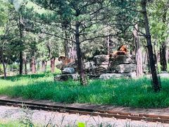 -秦皇岛野生动物园