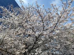 -永旺梦乐城国际商城(北清路店)