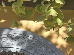 -龙华素斋(龙华路店)