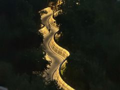 -福道