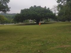 -东莞植物园