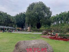 -深圳欢乐谷