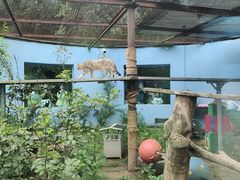 -青藏高原野生动物园