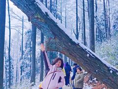 -莫干山风景区