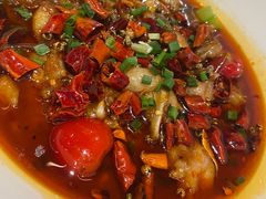 -杨氏青龙虾·羊蝎子(托乐嘉店)