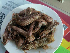 android_upload_pic-海滨假日渔家海鲜