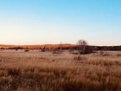 -塞罕坝国家级自然保护区