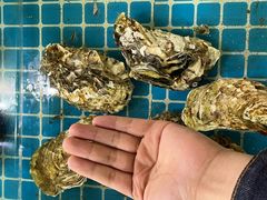 -海之鲜大排档(东山海鲜金銮湾店)