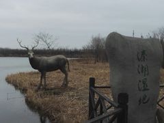 -溱湖国家湿地公园