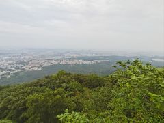 -紫金山山顶公园
