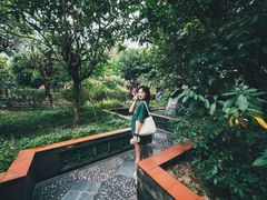 -广州神农草堂中医药博物馆