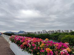 -厦门园林博览苑