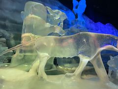 -石家庄市植物园
