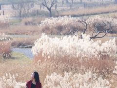 -汉长安城未央宫国家考古遗址公园