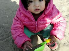 -古柏渡飞黄旅游区