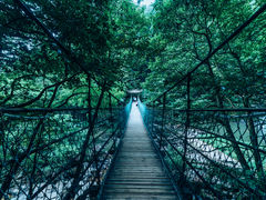 -溪口-滕头旅游景区