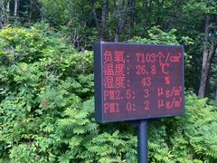 -五营国家森林公园