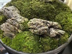 -耳湾躺式采耳SPA馆(保利五月花店)