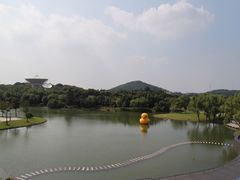 -上海佘山世茂艾美酒店