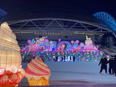 -沈阳奥体冰雪嘉年华