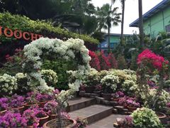 -东芭乐园