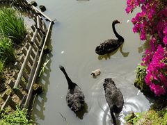 -粉小主·贵州酸汤牛肉粉(南京仙林金鹰店)